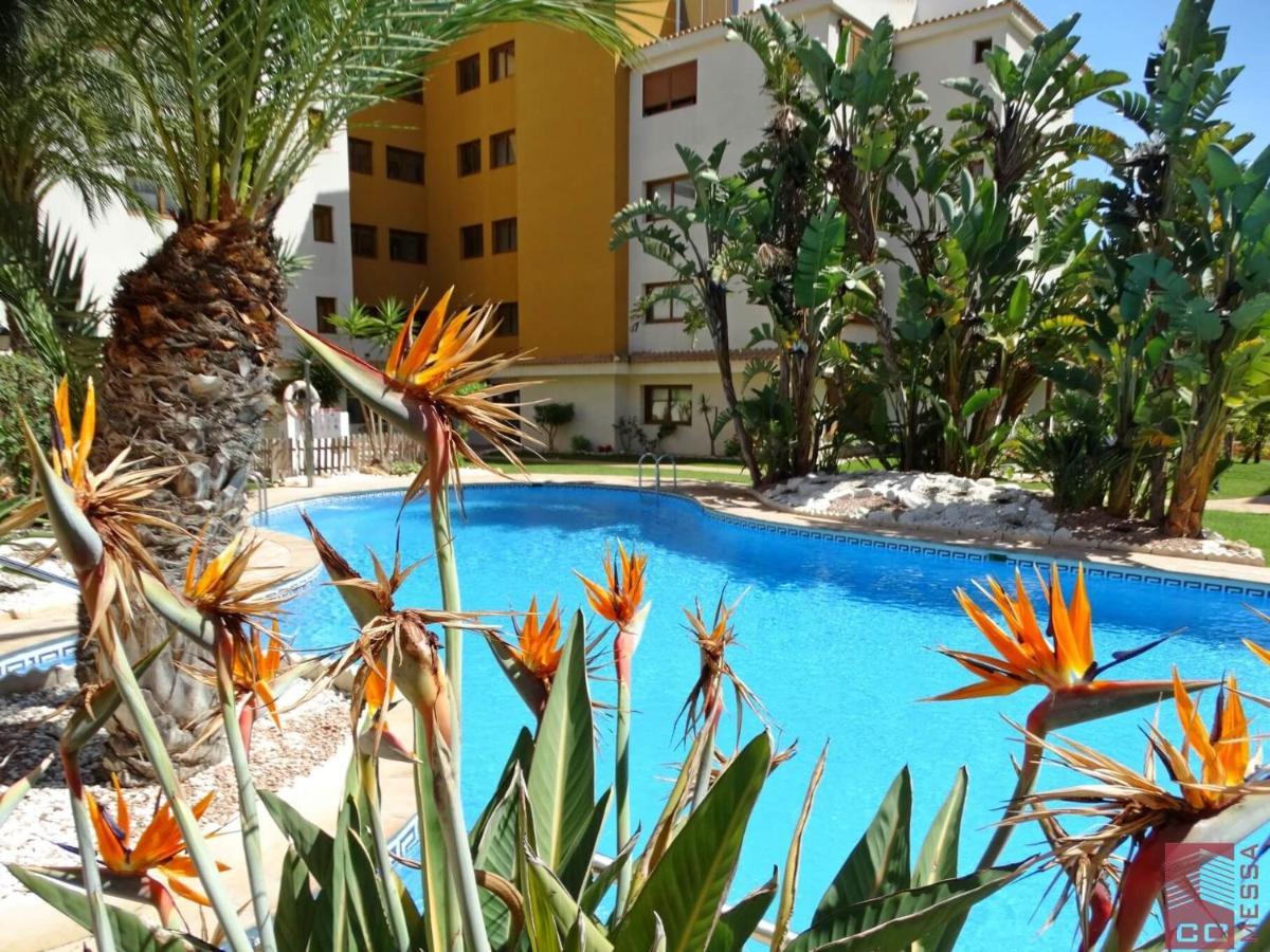 Apartamento Eleonor, La Entrada, Punta Prima, Torrevieja Luaran gambar